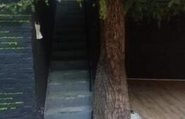 Spatiu comercial de inchiriat, 220 mp – vad excelent, Piezișă