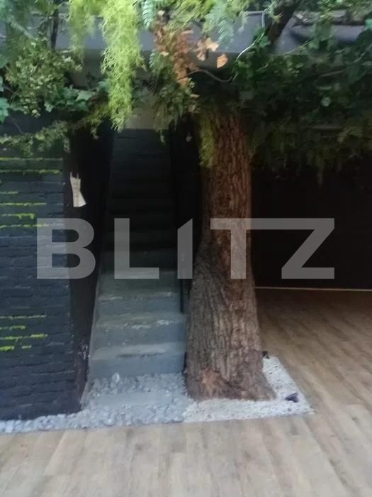 Spațiu comercial de închiriat Central - 182497SIC | BLITZ Cluj-Napoca | Poza3