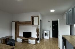 Apartament 2 camere, 51 mp, parcare subterană, pet friendly, zona Teilor