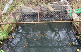 Casă de vânzare – proprietate generoasă 2.285 m² teren, 230.000 euro