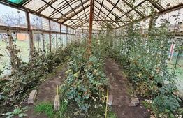 Casă de vânzare – proprietate generoasă 2.285 m² teren, 230.000 euro