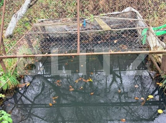 Casa de vânzare 6 camere Zarnesti - 182537CV | BLITZ Brașov | Poza7