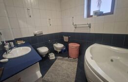 INVESTITIE !Casa cu potential de afacere in orice domeniu Brasov 