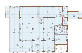 Spatiu comercial cu vad, 280 mp finisat, zona Iulius