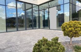 Spatiu comercial cu vad, 280 mp finisat, zona Iulius