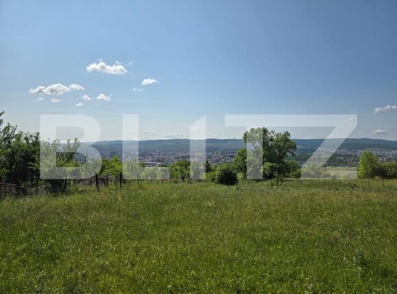 Teren de vânzare Dambul Rotund - 182571TV | BLITZ Cluj-Napoca | Poza5