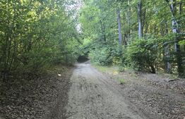 Teren la liziera padurii Faget 