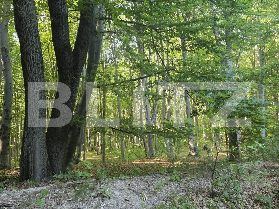 Teren de vânzare Ciurila - 182578TV | BLITZ Cluj-Napoca | Poza4