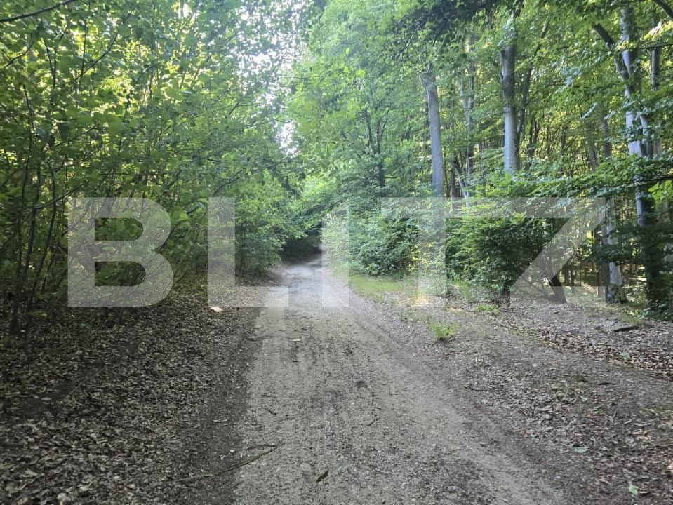 Teren de vânzare Ciurila - 182578TV | BLITZ Cluj-Napoca | Poza1