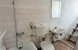 Apartament 1 camera, 32,29 mp, curte comuna, zona Gruia 