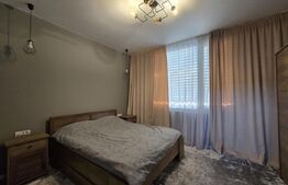 Vila de lux in Faget 325 mp si 1000 mp Teren