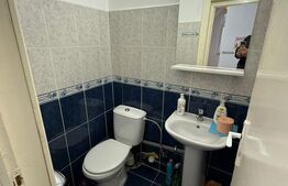 Spatiu birou de inchiriat, 22 mp - Centru, Cluj-Napoca