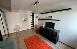 Apartament cu 1 camera, pet-friendly, parcare, 38 mp, zona Vivo 