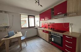 Apartament cu 1 camera, pet-friendly, parcare, 38 mp, zona Vivo 