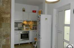 Apartament in imobil tip casa, 55 mp, 30 mp teren, zona cu acces facil