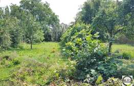 Casa individuala 2 camere, 64 mp, 989 mp teren, zona linistita de case!