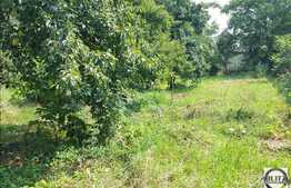 Casa individuala 2 camere, 64 mp, 989 mp teren, zona linistita de case!