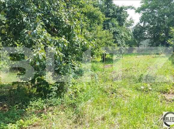 Casa de vânzare 2 camere Marasti - 18264CV | BLITZ Cluj-Napoca | Poza6