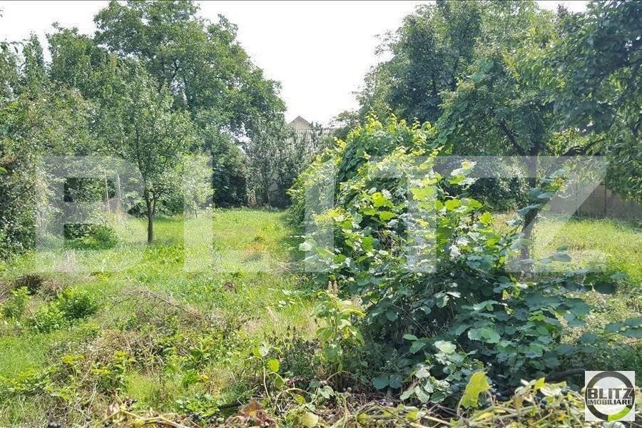 Casa de vânzare 2 camere Marasti - 18264CV | BLITZ Cluj-Napoca | Poza5