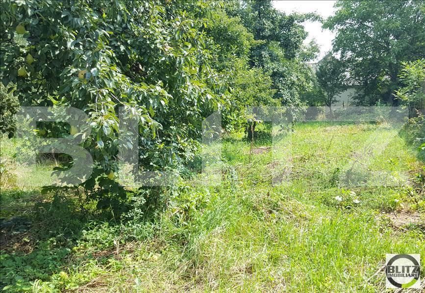 Casa de vânzare 2 camere Marasti - 18264CV | BLITZ Cluj-Napoca | Poza6