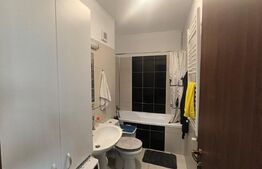 Apartament 2 camere tip studio, Cartier Noua – vedere superbă spre munte