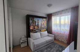 Apartament 2 camere tip studio, Cartier Noua – vedere superbă spre munte