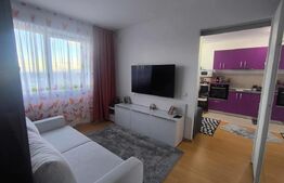 Apartament 2 camere tip studio, Cartier Noua – vedere superbă spre munte