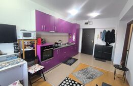 Apartament 2 camere tip studio, Cartier Noua – vedere superbă spre munte