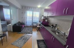 Apartament 2 camere tip studio, Cartier Noua – vedere superbă spre munte