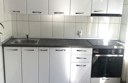 Apartament cu o camera, 35 mp, zona Intre Lacuri