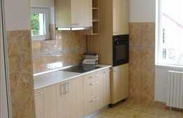 Casa individuala de vanzare 250 mp utili, zona Campului!