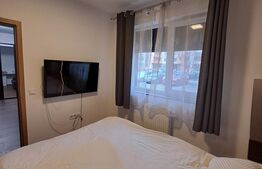 Apartament confortabil, 2 camere, zona excelenta - Tractoru