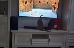 Apartament confortabil, 2 camere, zona excelenta - Tractoru