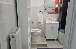 Apartament 2 camere, 50 mp, petfriendly, zona Muzeul Apei