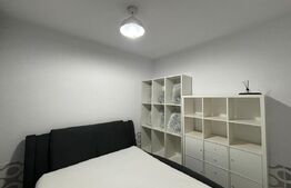 Apartament 2 camere, 50 mp, petfriendly, zona Muzeul Apei