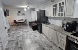 Apartament 2 camere, 50 mp, petfriendly, zona Muzeul Apei