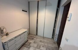 Apartament 2 camere, 50 mp, petfriendly, zona Muzeul Apei