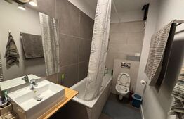 Apartament cu 1 camera, PETFRIENDLY, 38 mp, parcare, zona Vivo