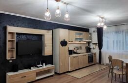 Apartament cu 2 dormitoare si gradina zona Tineretului.