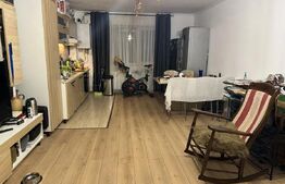 Apartament cu 2 dormitoare si gradina zona Tineretului.