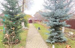 Casă superbă de vânzare, în Sânpetru 1000 mp teren, la câteva minute de Brașov