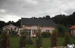 Vila situata in zona cu multa verdeata. Suprafata generoasa !!