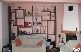 Vila situata in zona cu multa verdeata. Suprafata generoasa !!