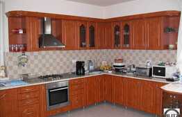 Vila situata in zona cu multa verdeata. Suprafata generoasa !!