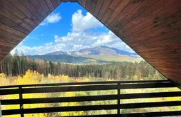 Pensiune de vanzare - ideala investitie, amplasare premium, 30-40 locuri cazare