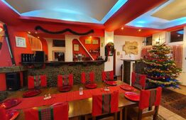 Pensiune de vanzare - ideala investitie, amplasare premium, 30-40 locuri cazare