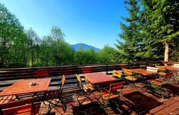 Pensiune de vanzare - ideala investitie, amplasare premium, 30-40 locuri cazare