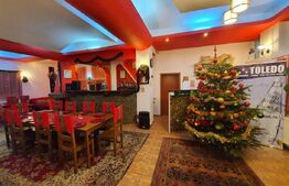 Pensiune de vanzare - ideala investitie, amplasare premium, 30-40 locuri cazare