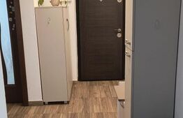 Apartament cu 3 camere, 67 mp, etaj intermediar, zona Tineretului