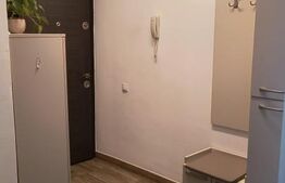 Apartament cu 3 camere, 67 mp, etaj intermediar, zona Tineretului
